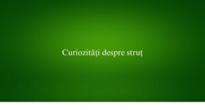 Curiozități despre struț