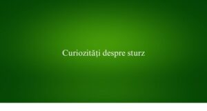 Curiozități despre sturz