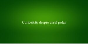 Curiozități despre ursul polar