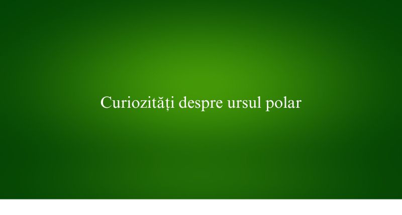 Curiozități despre ursul polar