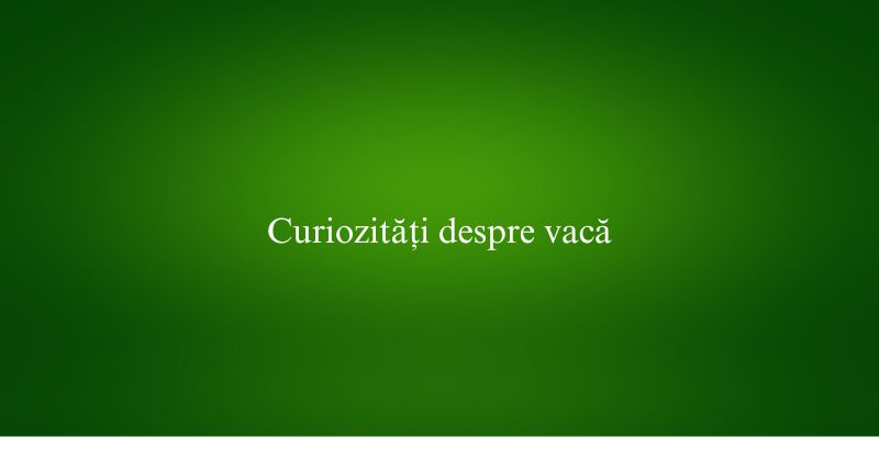 Curiozități despre vacă