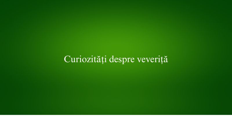 Curiozități despre veveriță