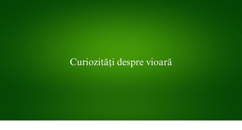 Curiozități despre vioară
