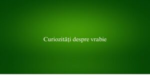 Curiozități despre vrabie
