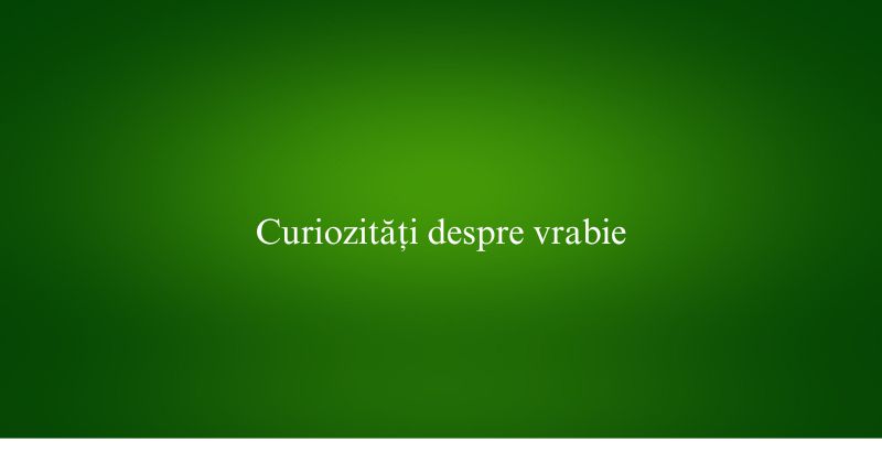 Curiozități despre vrabie