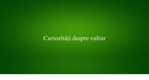 Curiozități despre vultur