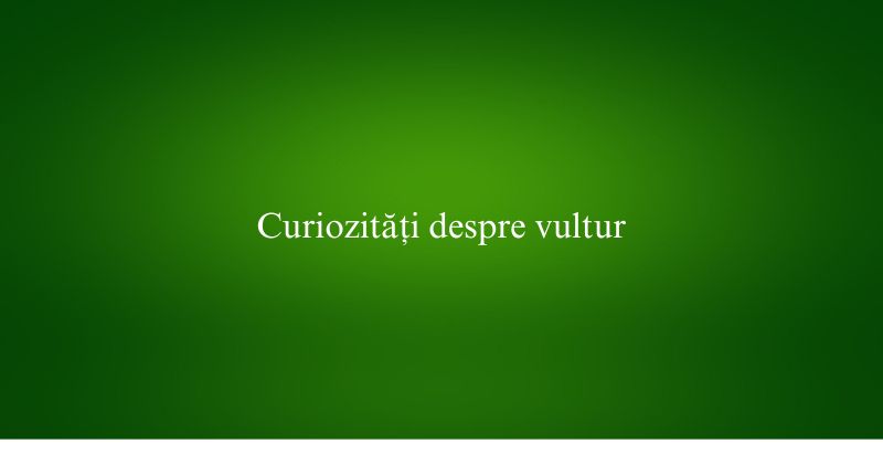 Curiozități despre vultur