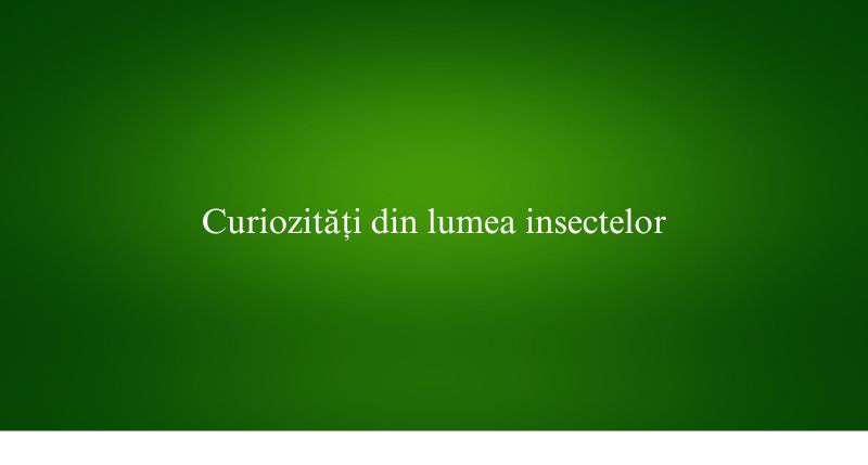 Curiozități din lumea insectelor
