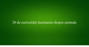 20 de curiozități fascinante despre animale