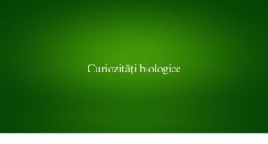 Curiozități biologice