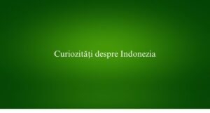 Curiozități despre Indonezia