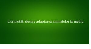 Curiozități despre adaptarea animalelor la mediu