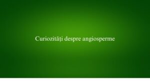Curiozități despre angiosperme