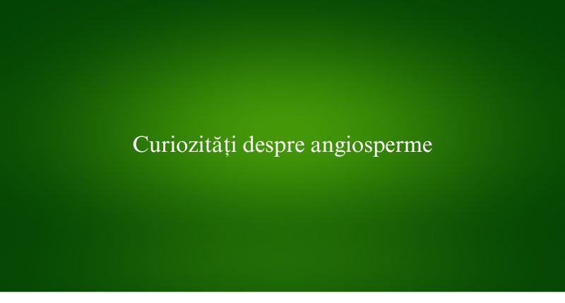 Curiozități despre angiosperme