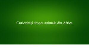 Curiozități despre animale din Africa