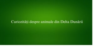 Curiozități despre animale din Delta Dunării