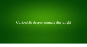 Curiozități despre animale din junglă