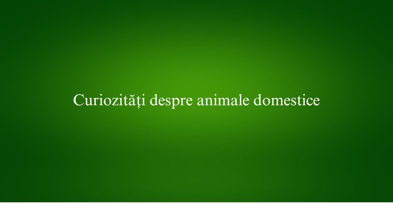 Curiozități despre animale domestice