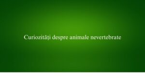 Curiozități despre animale nevertebrate