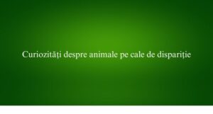 Curiozități despre animale pe cale de dispariție
