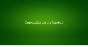 Curiozități despre baobab