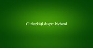 Curiozități despre bichoni