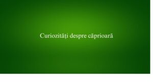 Curiozități despre căprioară