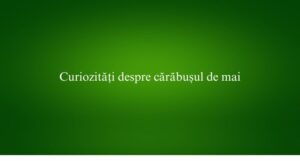 Curiozități despre cărăbușul de mai