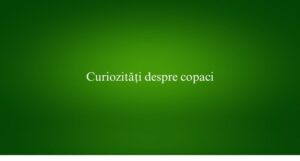 Curiozități despre copaci