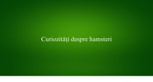 Curiozități despre hamsteri