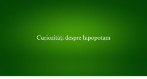 Curiozități despre hipopotam