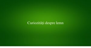 Curiozități despre lemn