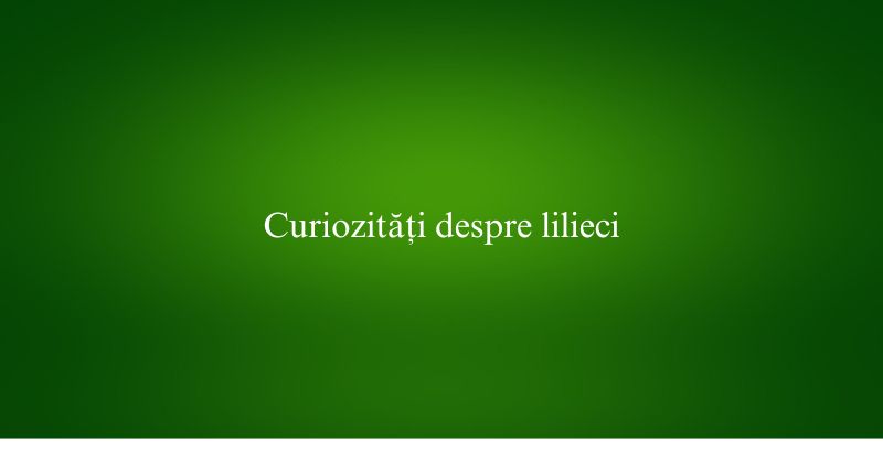 Curiozități despre lilieci