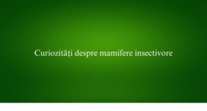 Curiozități despre mamifere insectivore