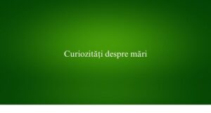 Curiozități despre mări