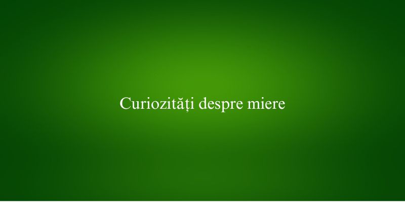 Curiozități despre miere