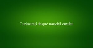 Curiozități despre mușchii omului