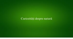 Curiozități despre natură