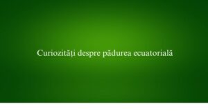 Curiozități despre pădurea ecuatorială