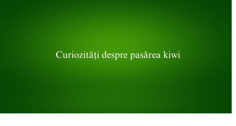 Curiozități despre pasărea kiwi