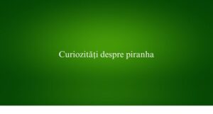 Curiozități despre piranha