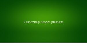 Curiozități despre plămâni