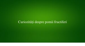 Curiozități despre pomii fructiferi