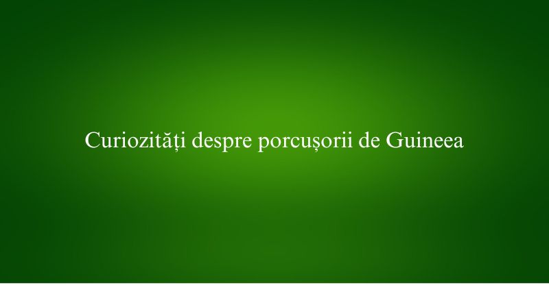 Curiozități despre porcușorii de Guineea