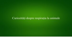 Curiozități despre respirația la animale