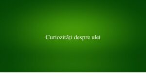 Curiozități despre ulei