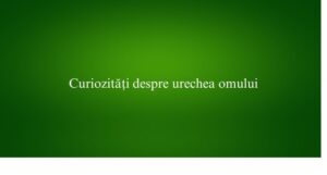 Curiozități despre urechea omului