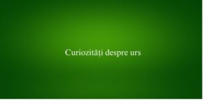 Curiozități despre urs
