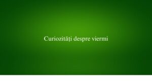 Curiozități despre viermi