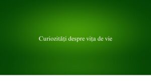 Curiozități despre vița de vie